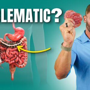 The Surprising Impact of Red Meat on Gut Health