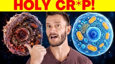 I Wish My Doctor Showed Me This - What 20 Hours Without Food Does to Cellular Repair
